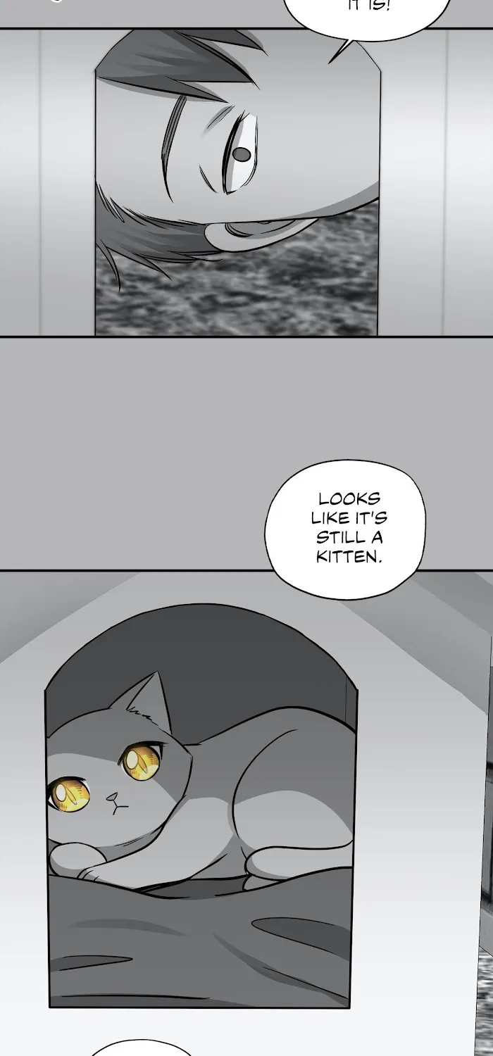 A Strange Life Chapter 41 page 33 - MangaKakalot