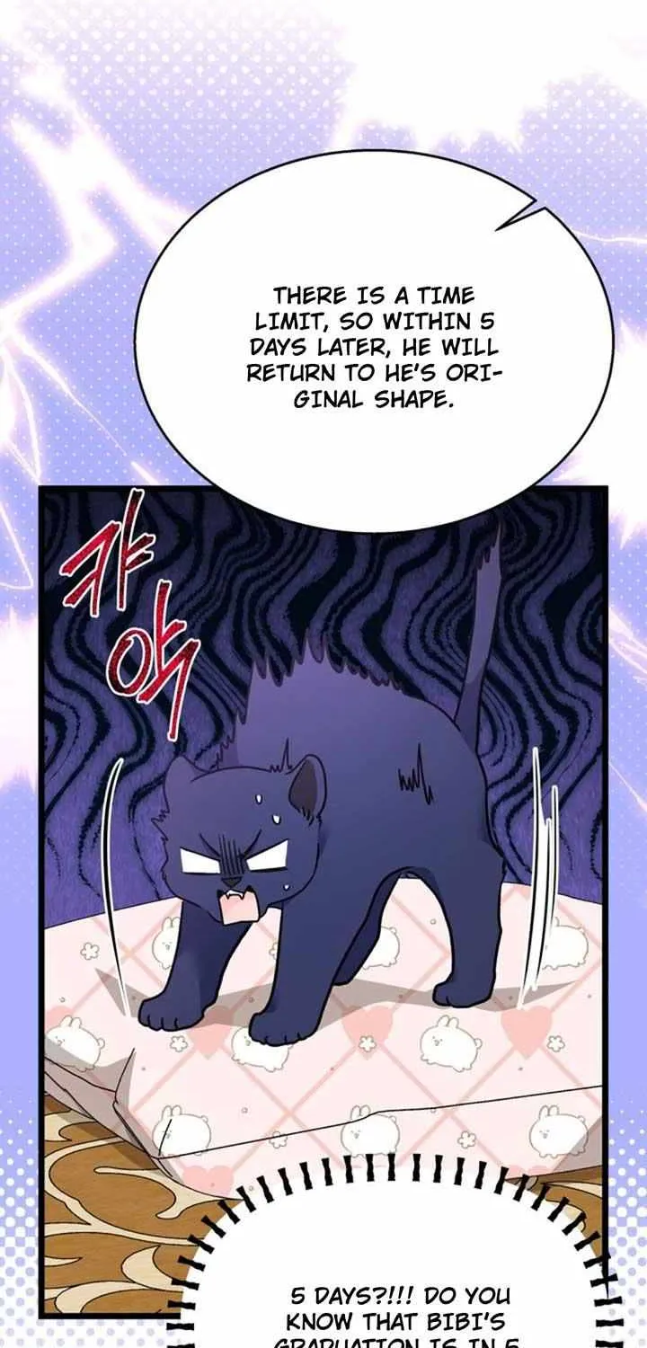 A Symbiotic Relationship Between A Rabbit And A Black Panther Chapter 160 page 64 - MangaKakalot