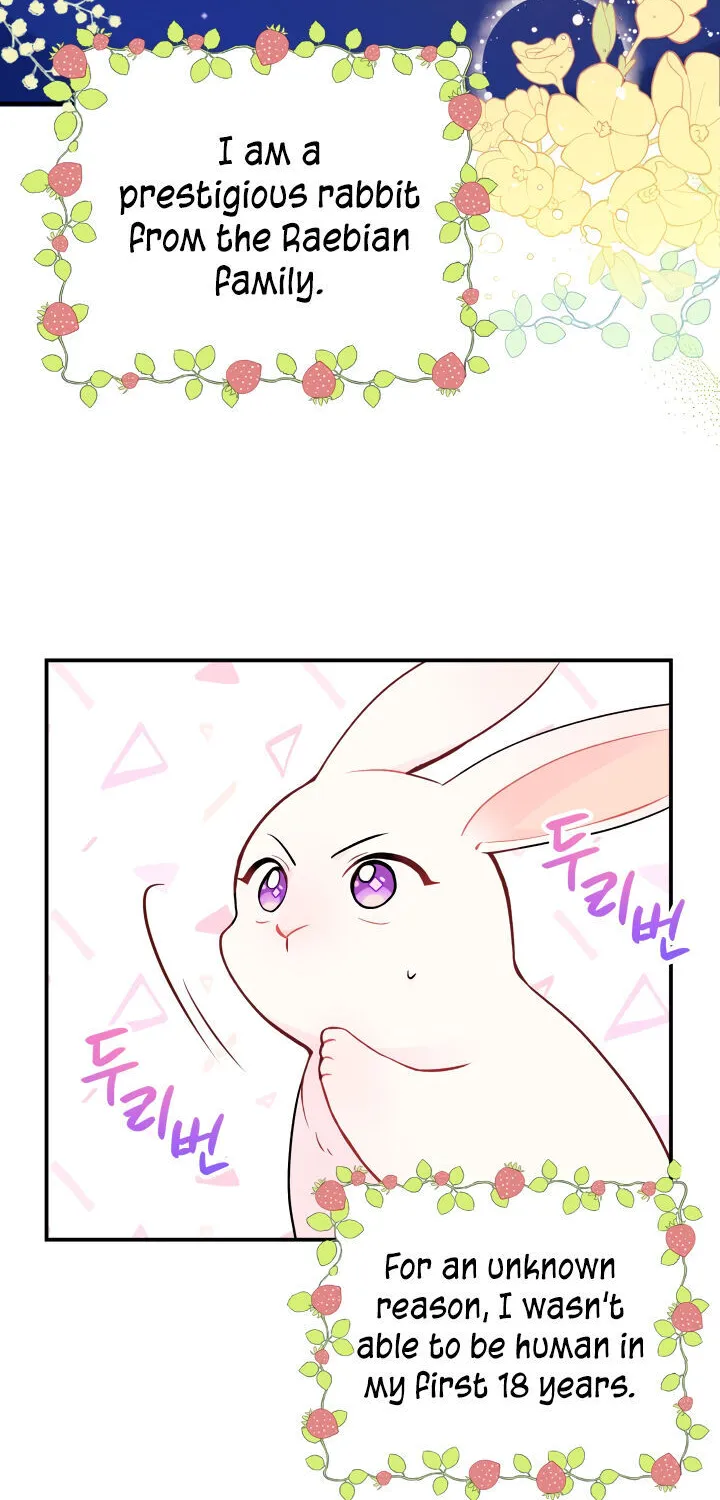 A Symbiotic Relationship Between A Rabbit And A Black Panther Chapter 2 page 2 - MangaKakalot