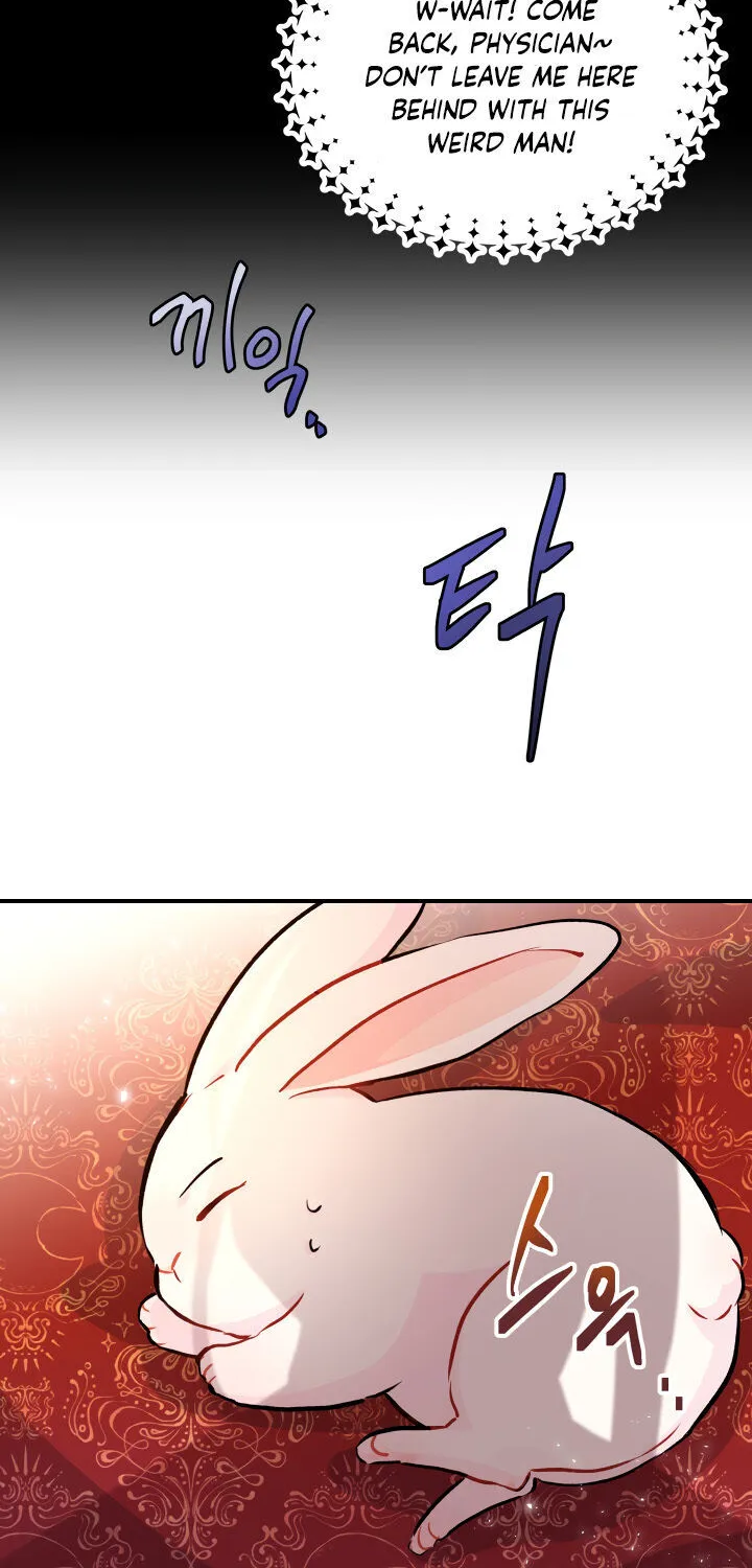 A Symbiotic Relationship Between A Rabbit And A Black Panther Chapter 2 page 40 - MangaKakalot