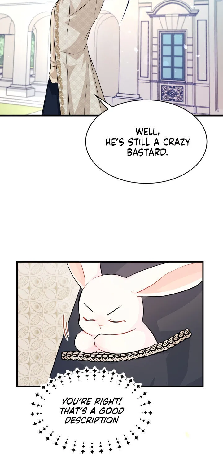 A Symbiotic Relationship Between A Rabbit And A Black Panther Chapter 9 page 37 - MangaNato