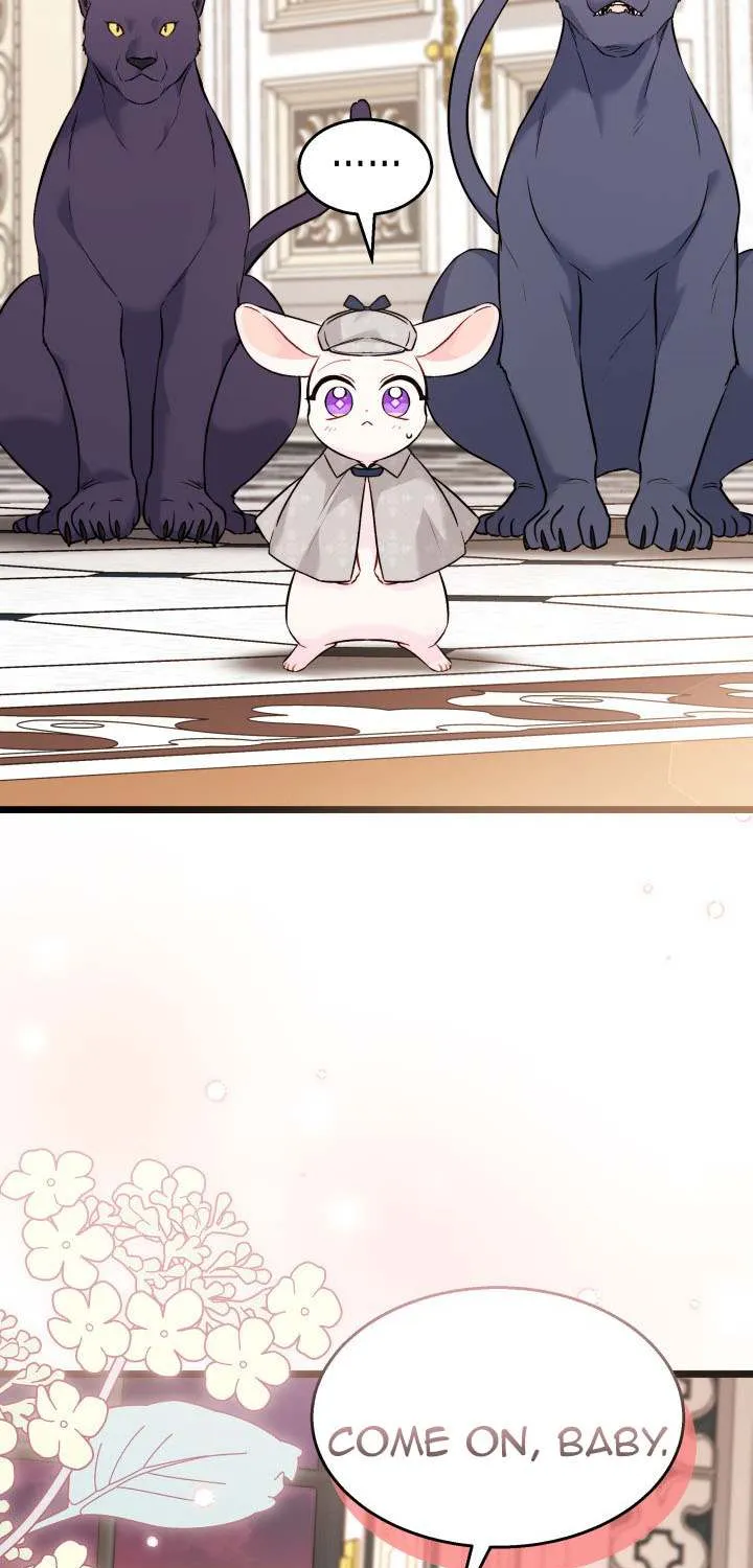 A Symbiotic Relationship Between A Rabbit And A Black Panther Chapter 96 page 6 - MangaNato