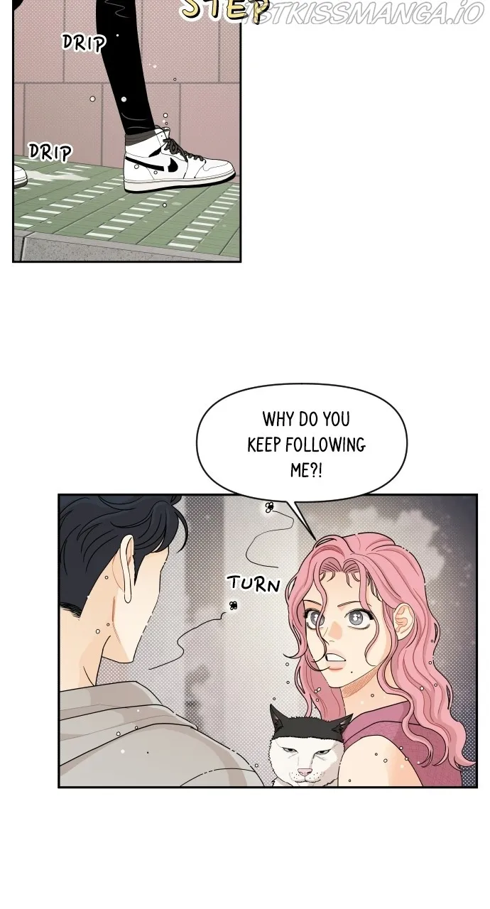 A Whirlwind Campus Affair Chapter 32 page 15 - MangaKakalot