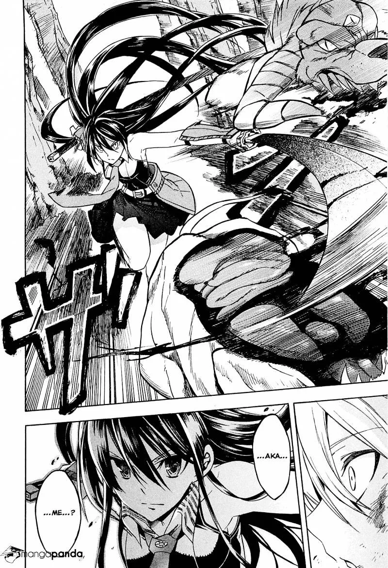 Akame Ga Kill! - Page 13