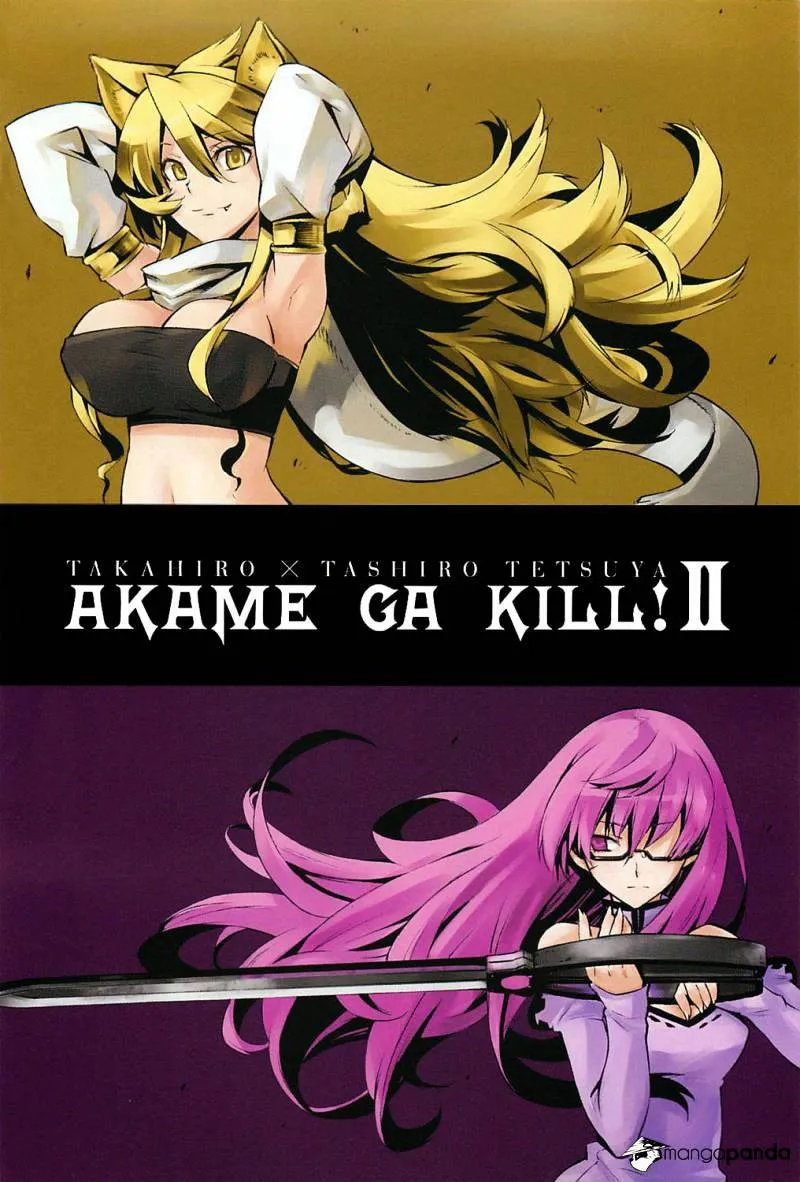 Akame Ga Kill! - Page 3