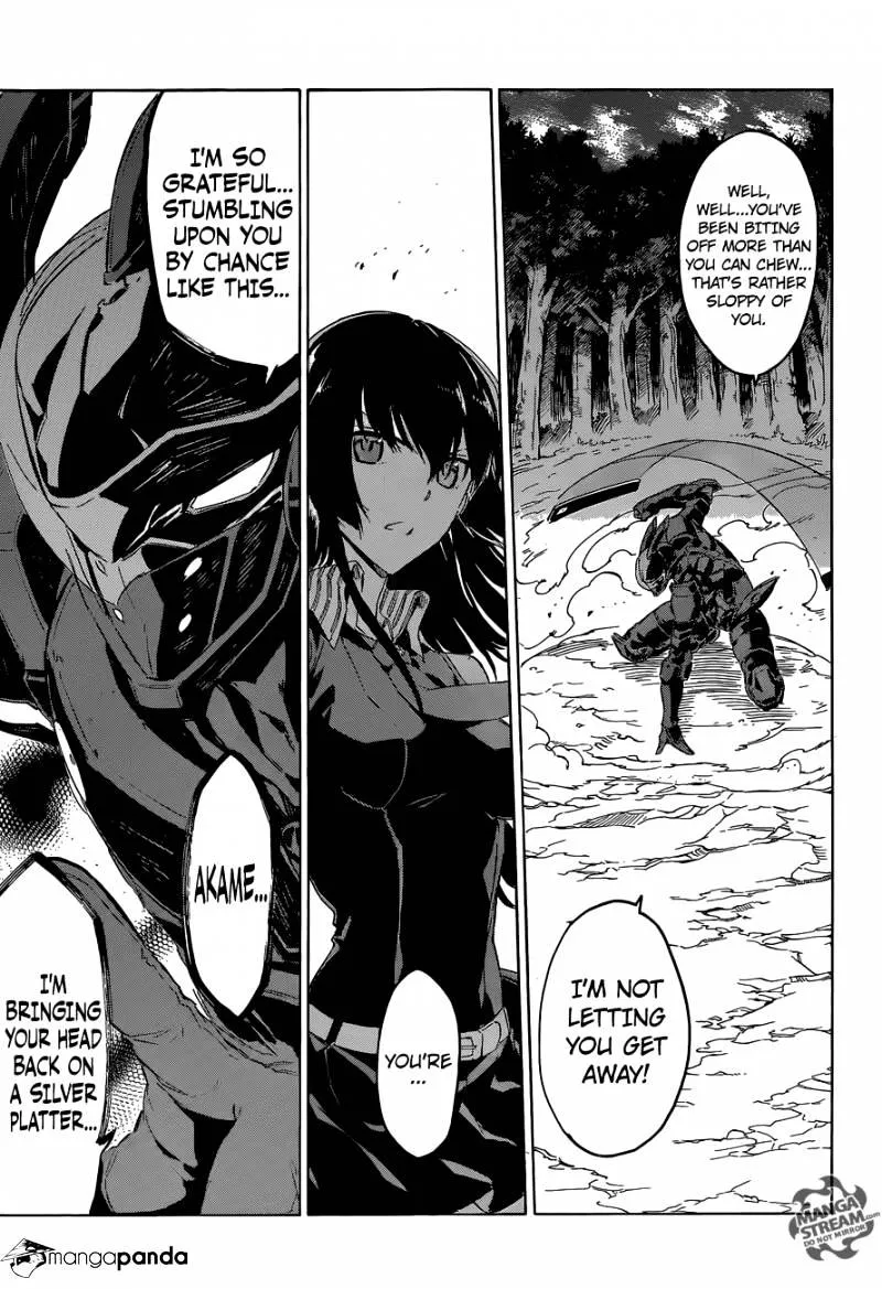 Akame Ga Kill! - Page 35