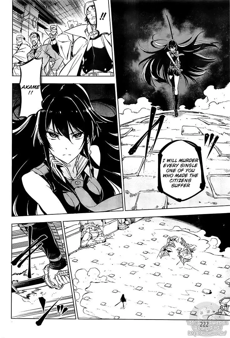 Akame Ga Kill! - Page 22