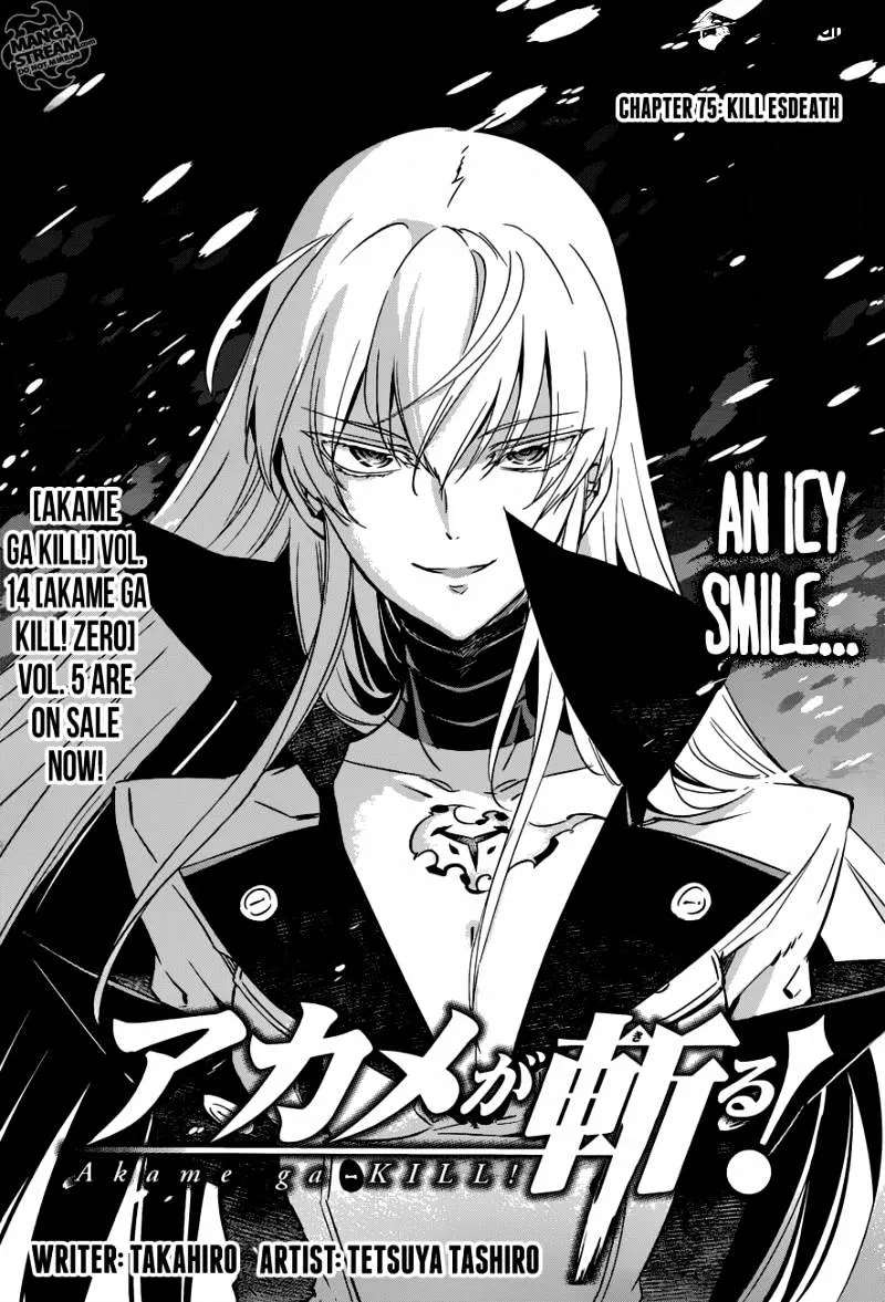 Akame Ga Kill! Chapter 75 page 3 - MangaKakalot