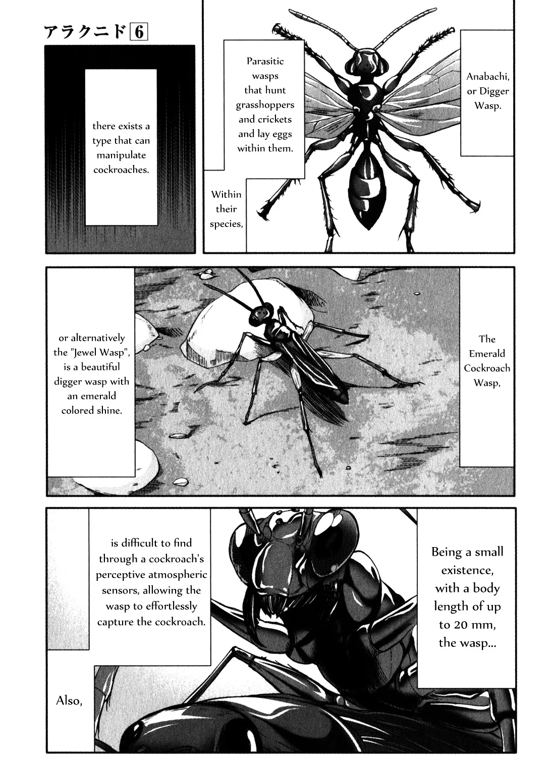 Arachnid Chapter 26 page 49 - MangaNato