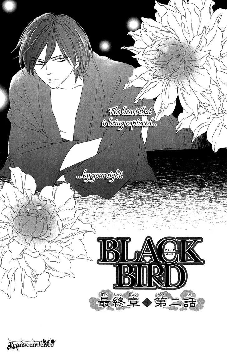 Black Bird - Page 6