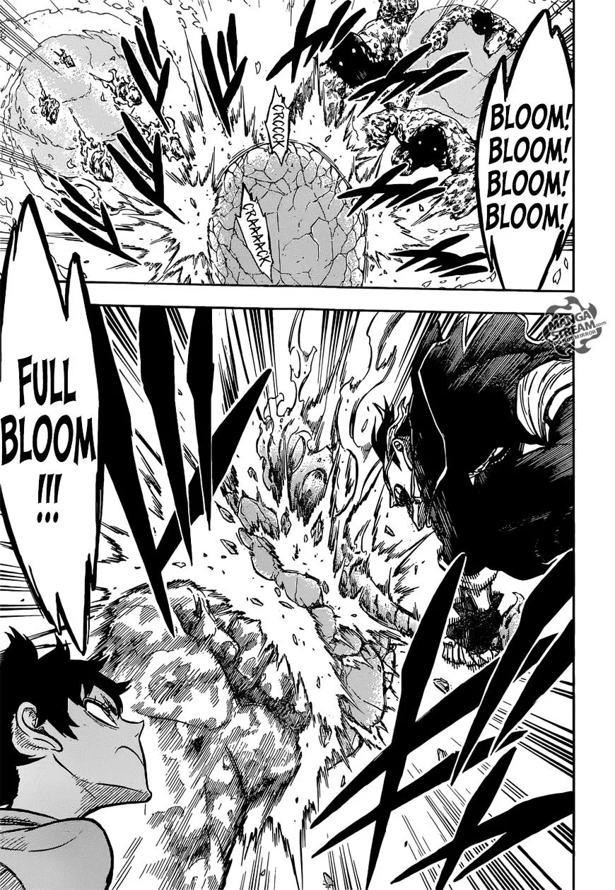 Black Clover - Page 14