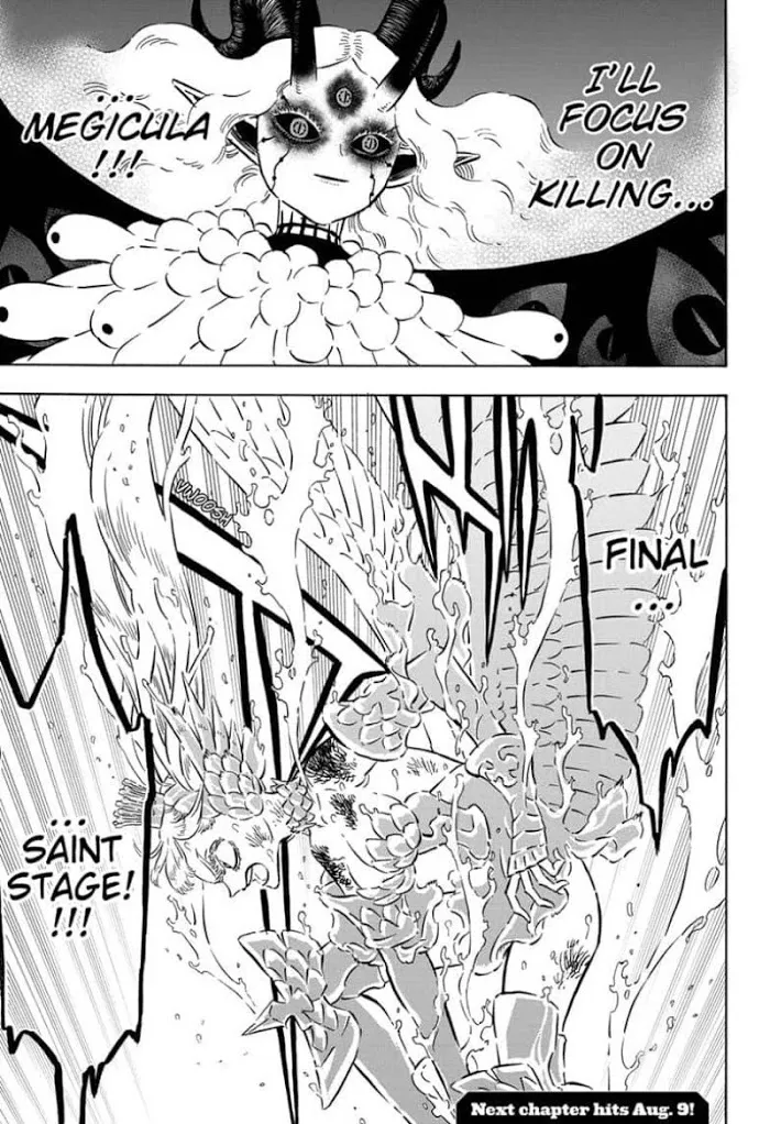 Black Clover - Page 14