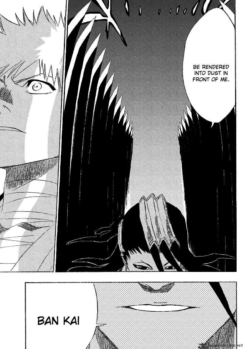 Bleach Chapter 161 page 13 - MangaNato