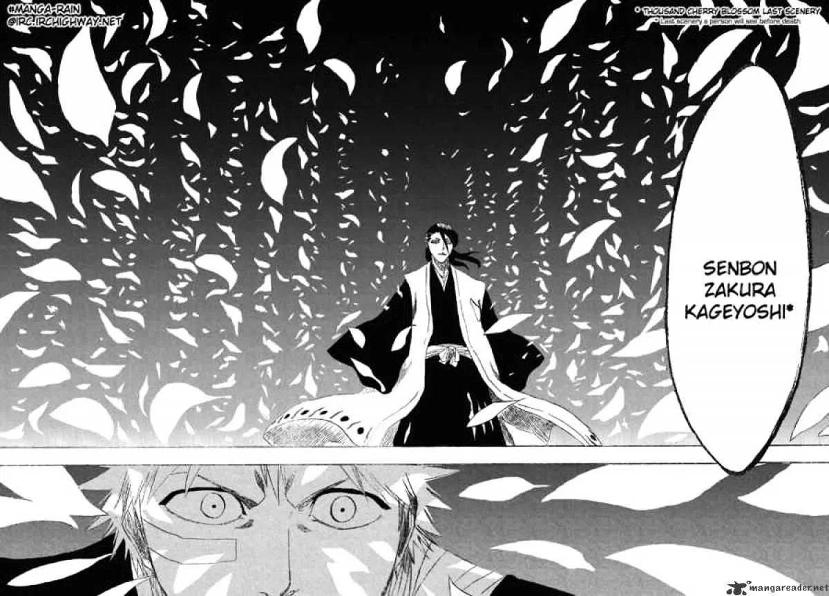 Bleach Chapter 161 page 15 - MangaNato