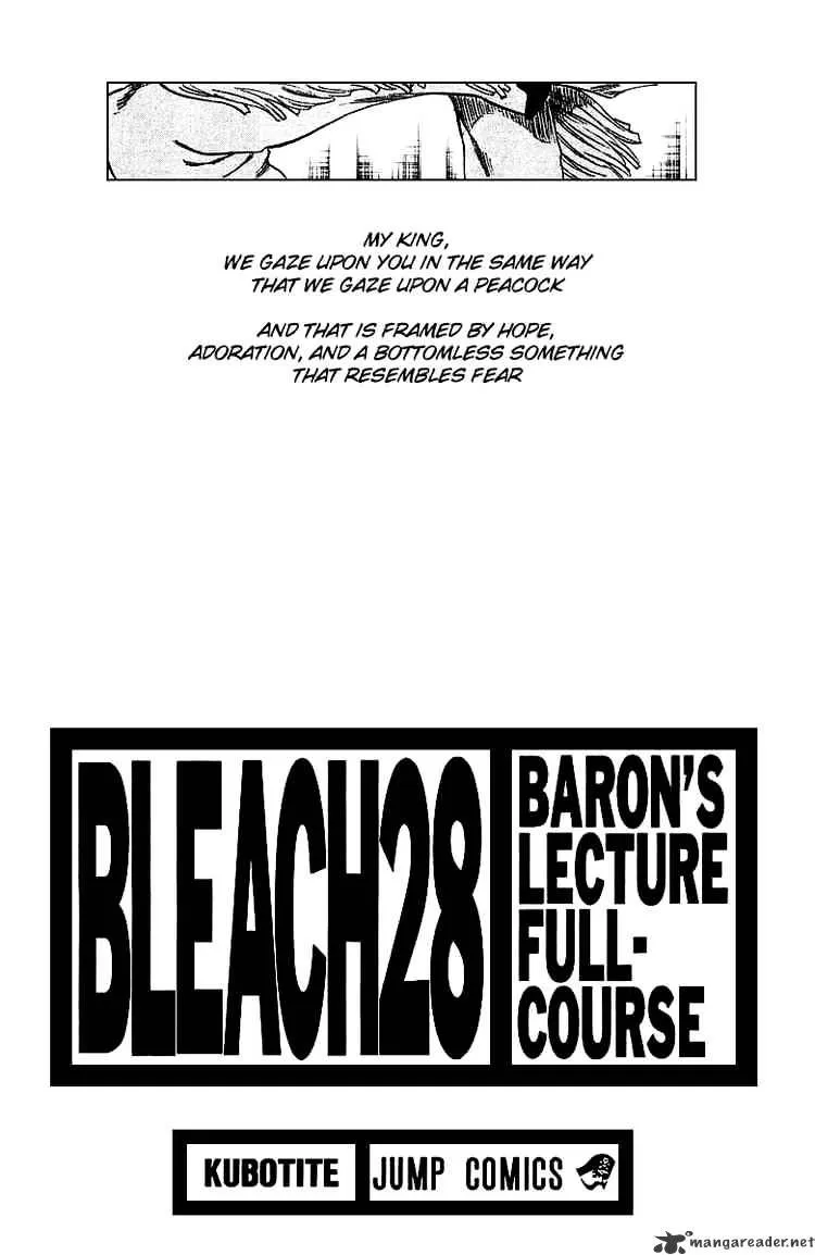 Bleach Chapter 243 page 3 - MangaNato