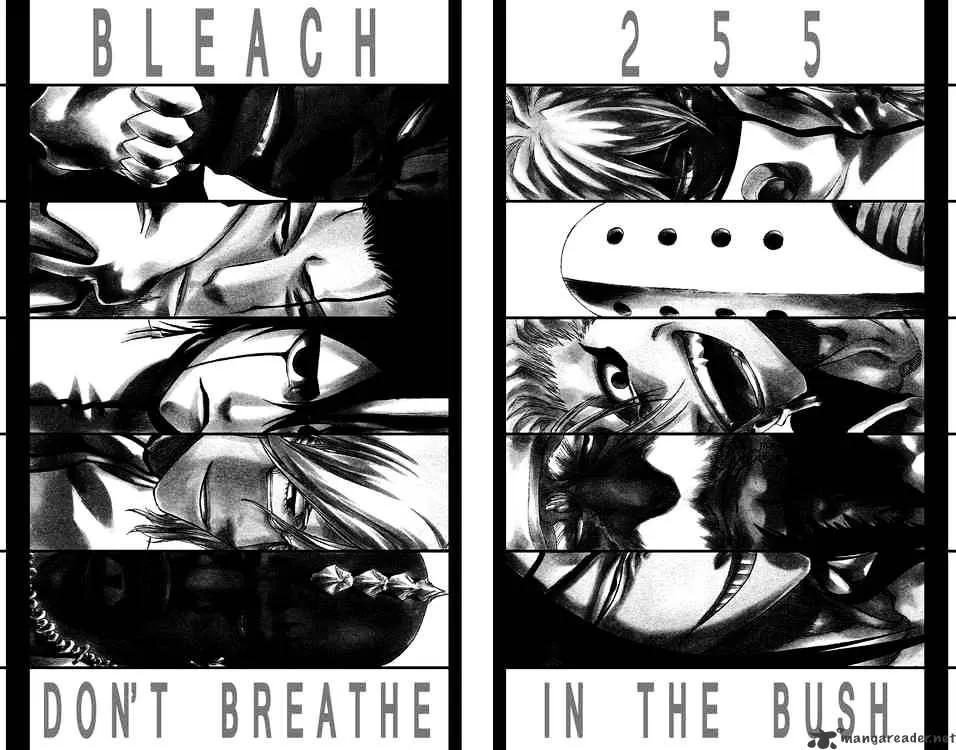 Bleach - Page 1