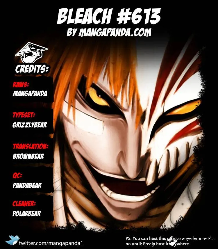 Bleach - Page 13