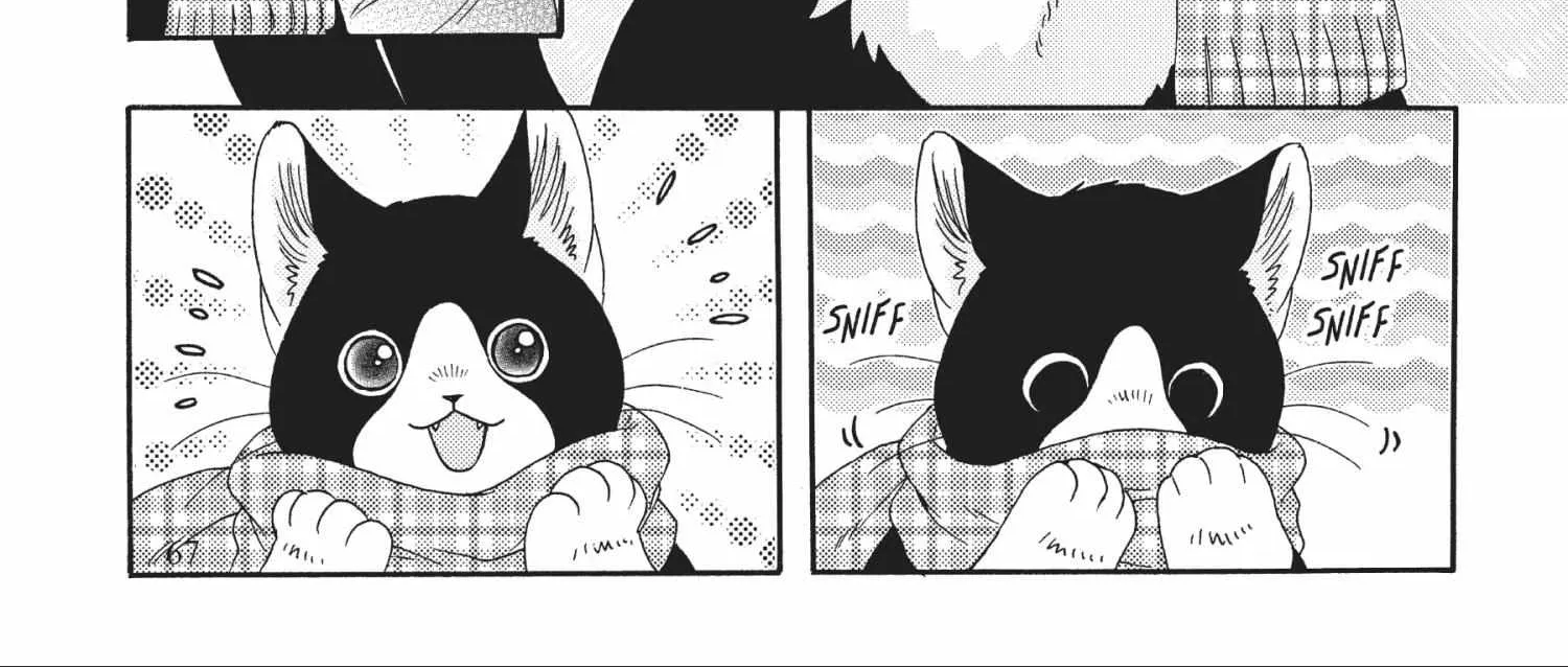 Breakfast with My Two-Tailed Cat Chapter 2 page 31 - MangaKakalot