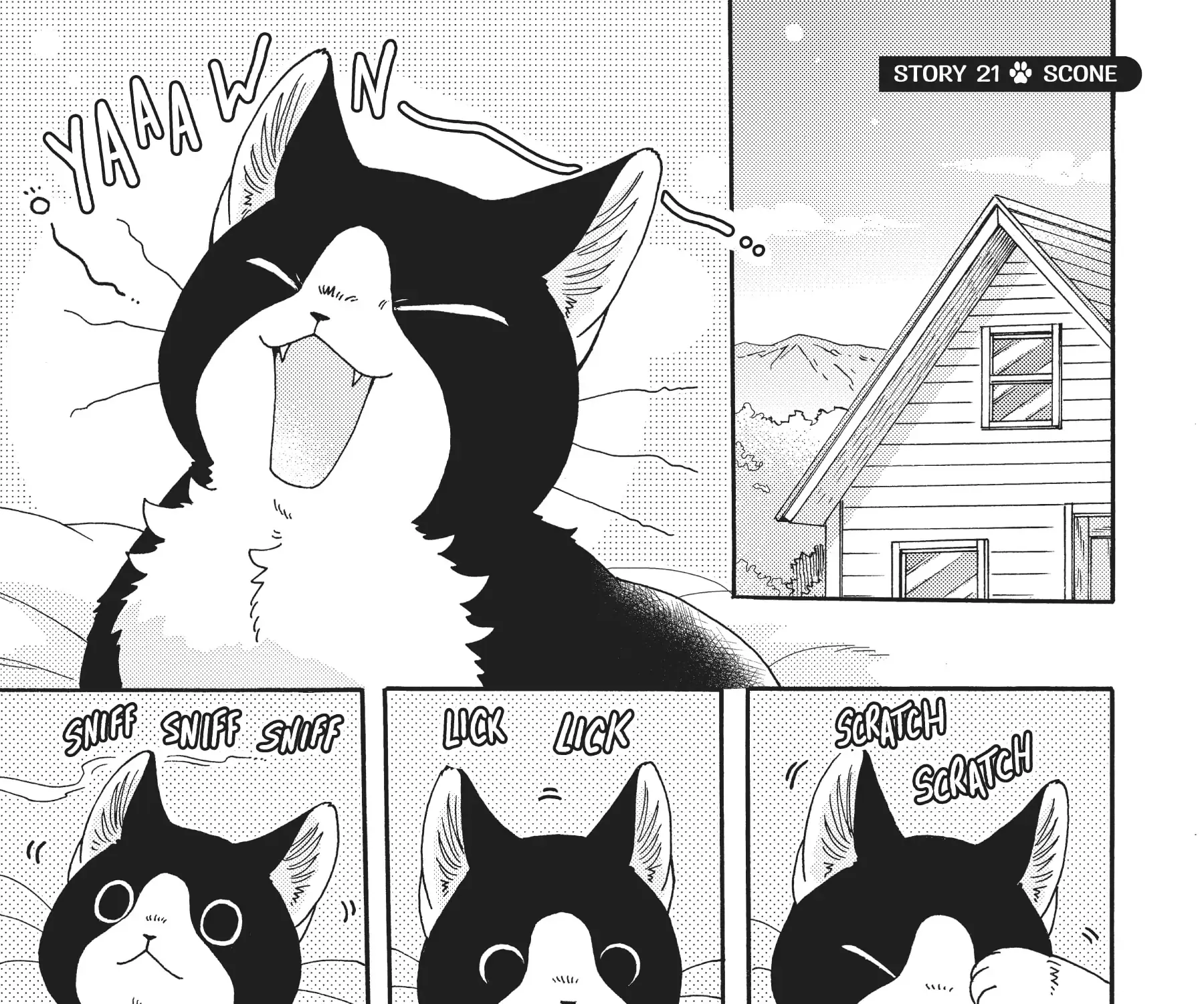 Breakfast with My Two-Tailed Cat Chapter 4 page 47 - MangaKakalot