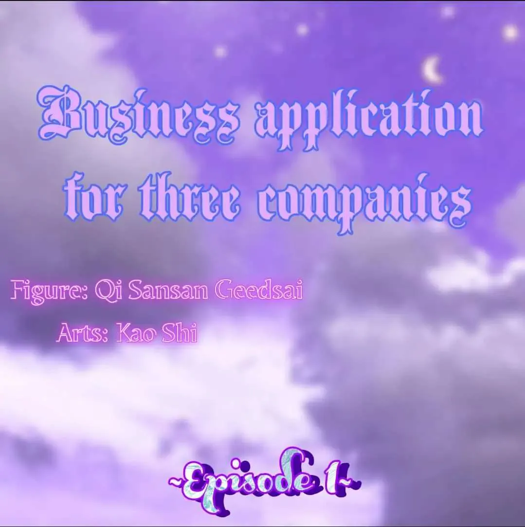 Business Application For Three Companies - Page 11