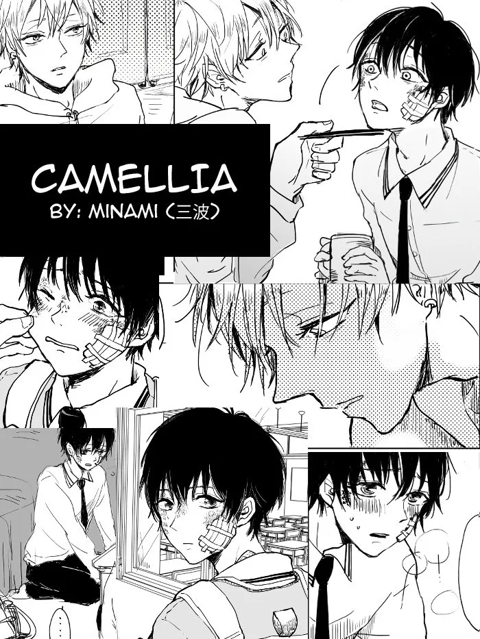 Camellia - Page 2