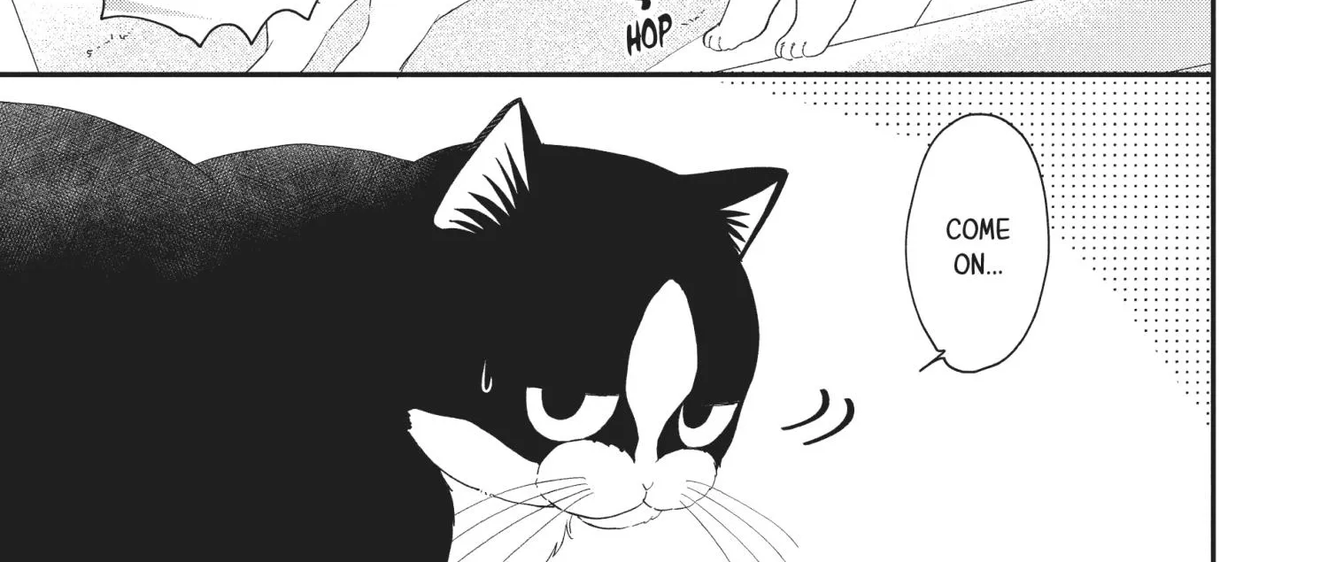 Cat And A Kiss - Page 18