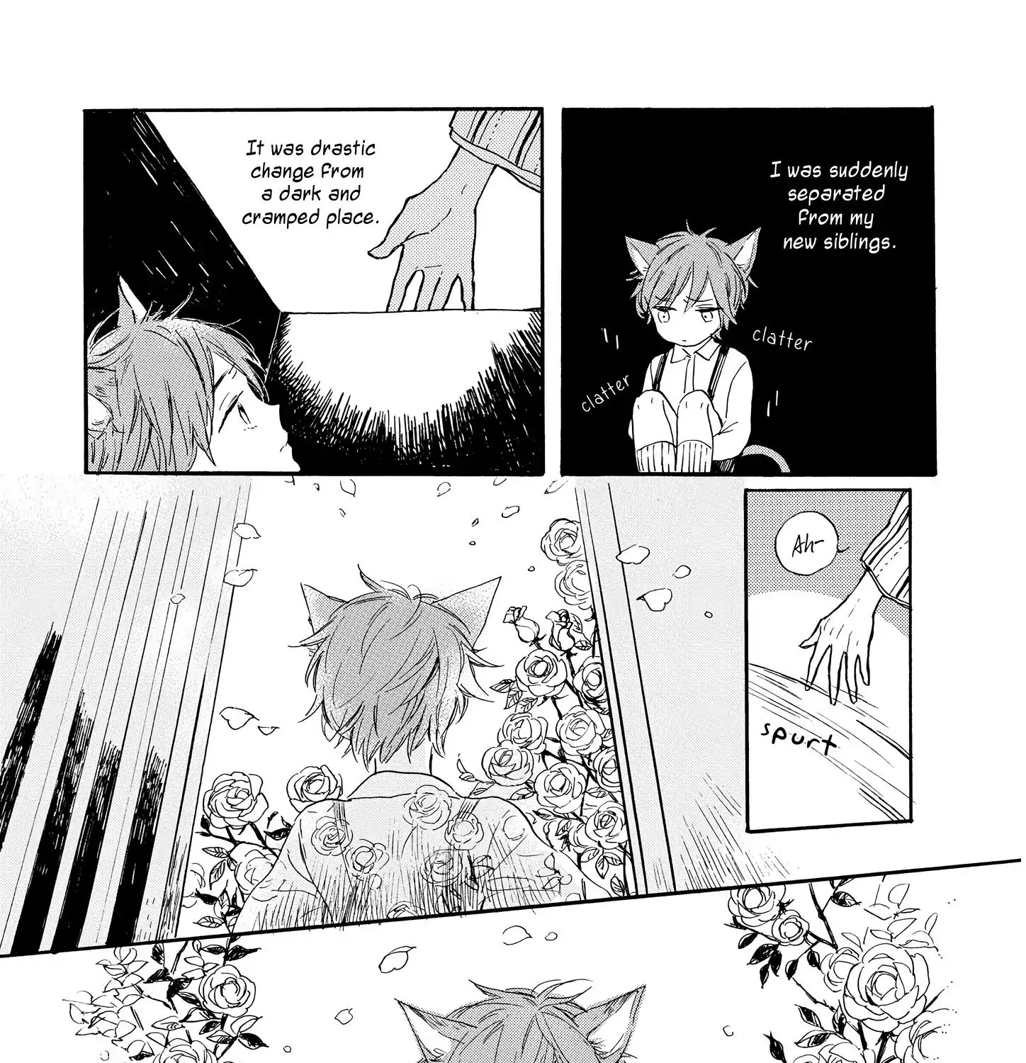 Cat & Dog In Rose Garden Chapter 3 page 5 - MangaKakalot