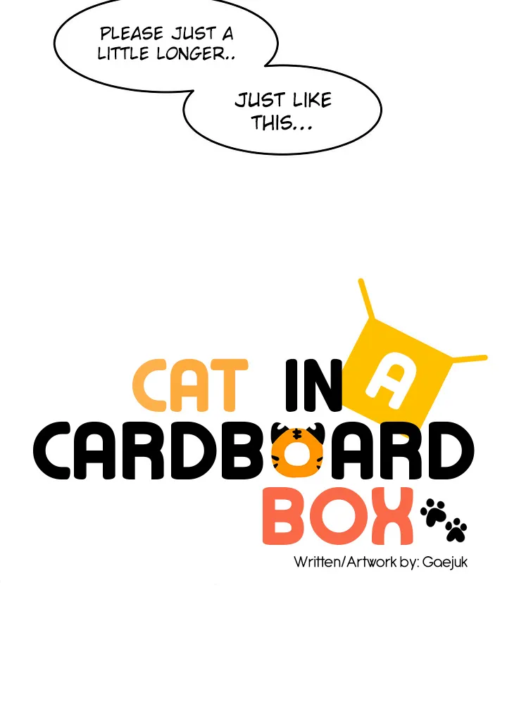 Cat in a Cardboard Box - Page 45