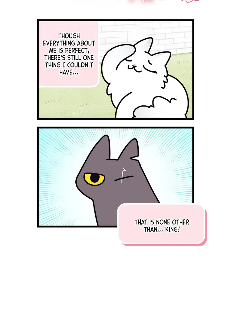 Cats Own The World Chapter 106 page 4 - MangaKakalot