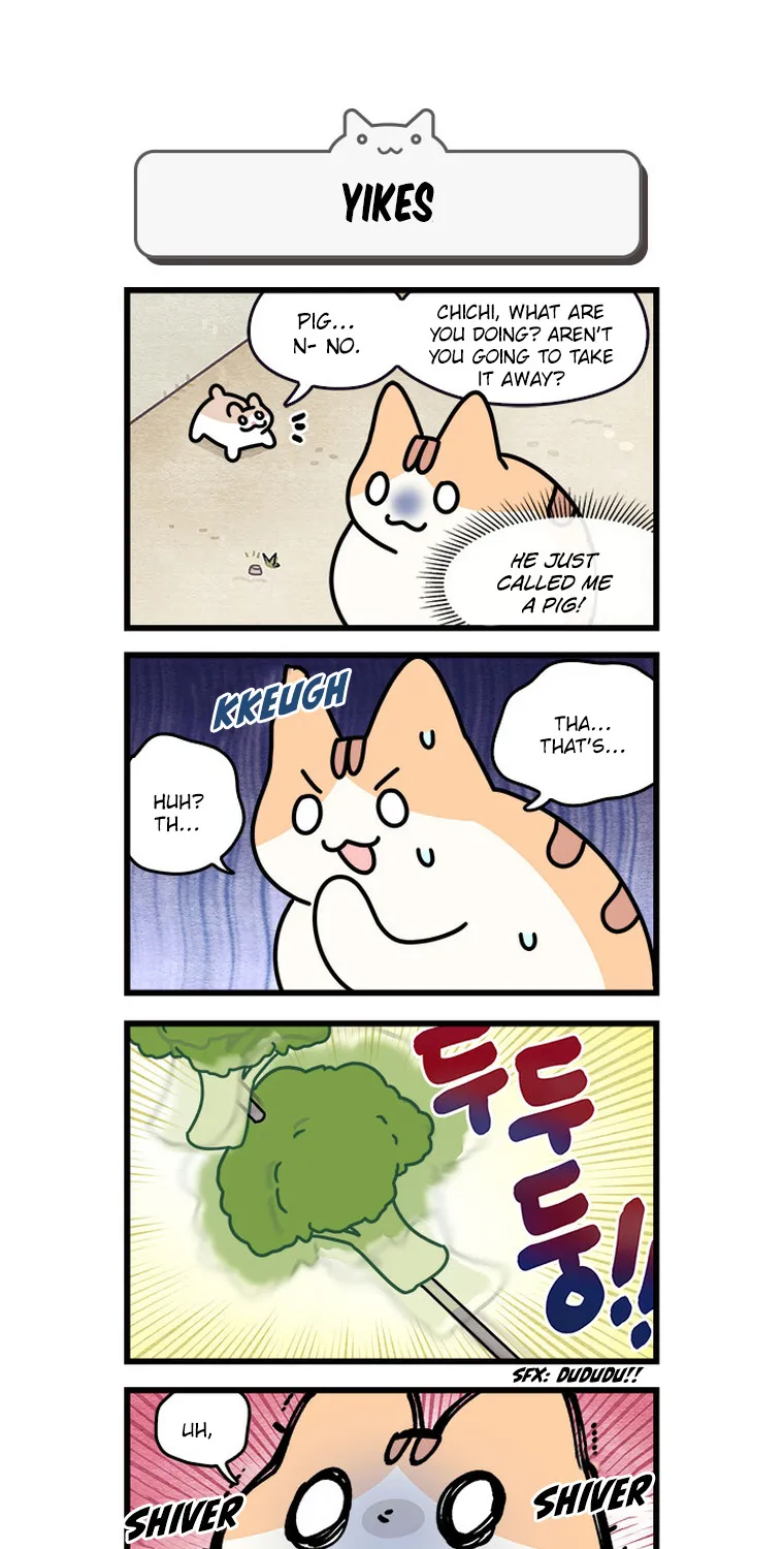 Cats Own The World Chapter 114 page 8 - MangaKakalot