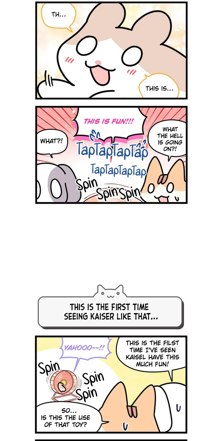 Cats Own The World Chapter 144 page 7 - MangaKakalot