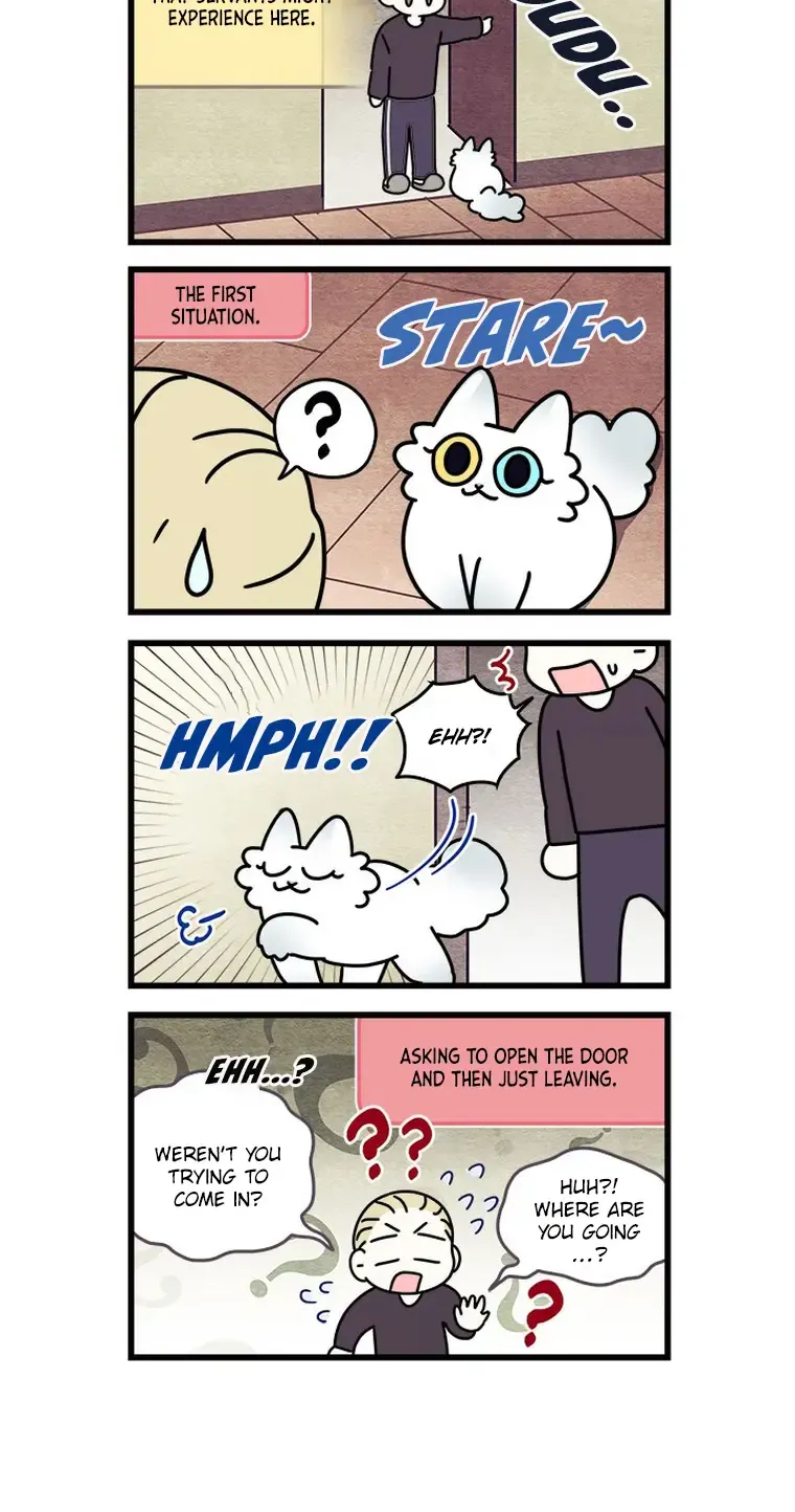 Cats Own The World Chapter 163 page 6 - MangaKakalot