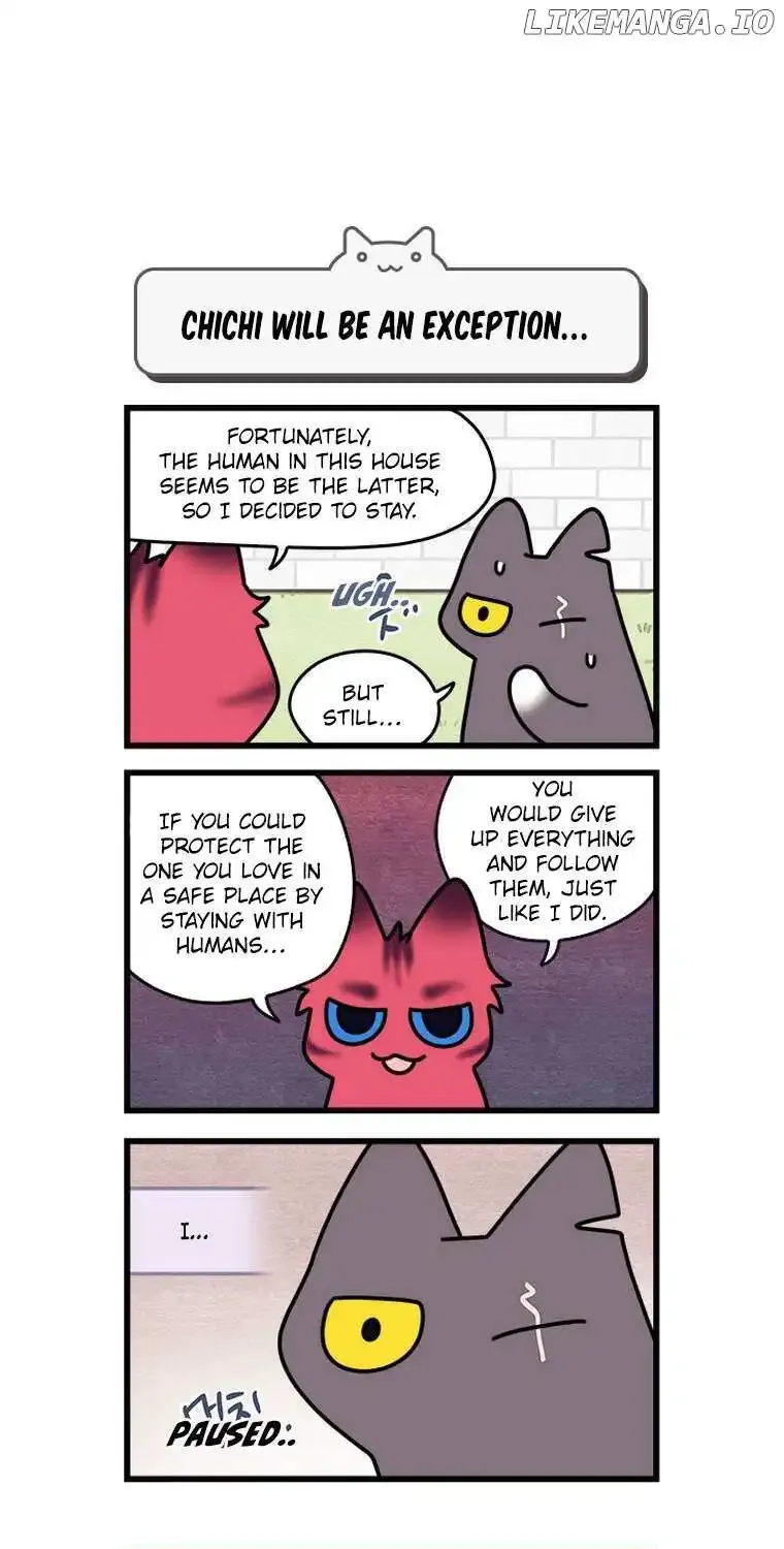 Cats Own The World Chapter 170 page 12 - MangaKakalot