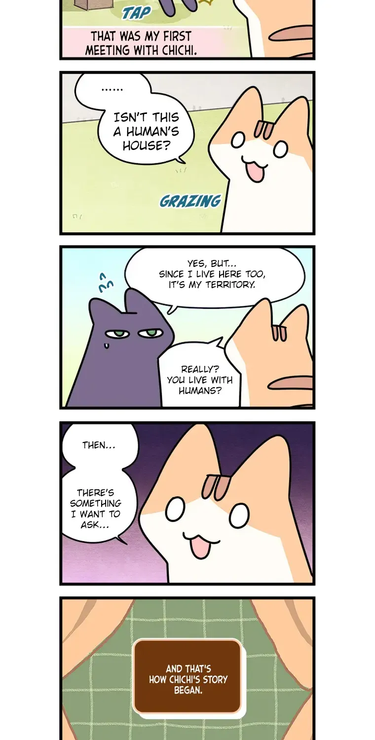 Cats Own The World Chapter 192 page 13 - MangaKakalot