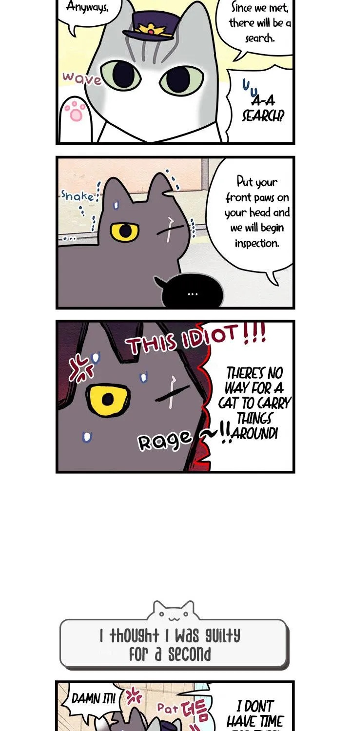 Cats Own The World Chapter 55 page 7 - MangaKakalot