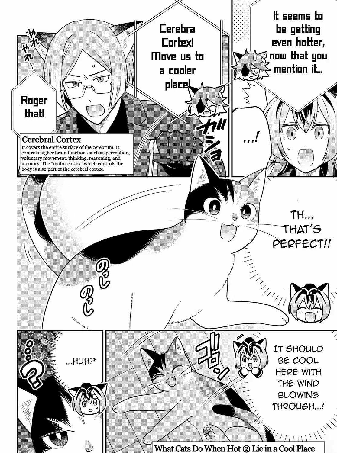 Cells at Work! Cat Chapter 11 page 19 - MangaNato