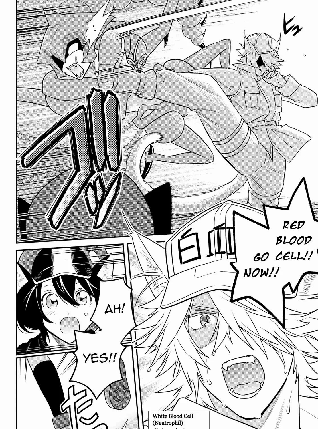 Cells at Work! Cat Chapter 11 page 47 - MangaNato