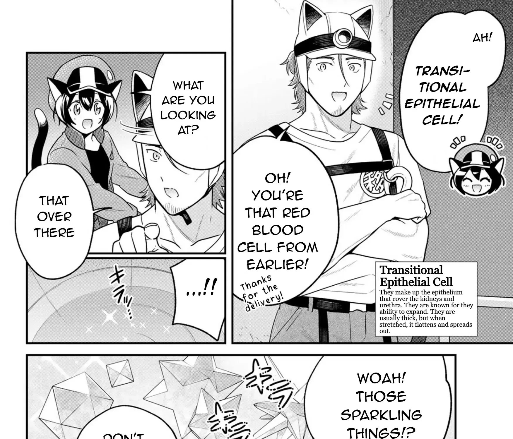 Cells at Work! Cat Chapter 12 page 11 - MangaKakalot