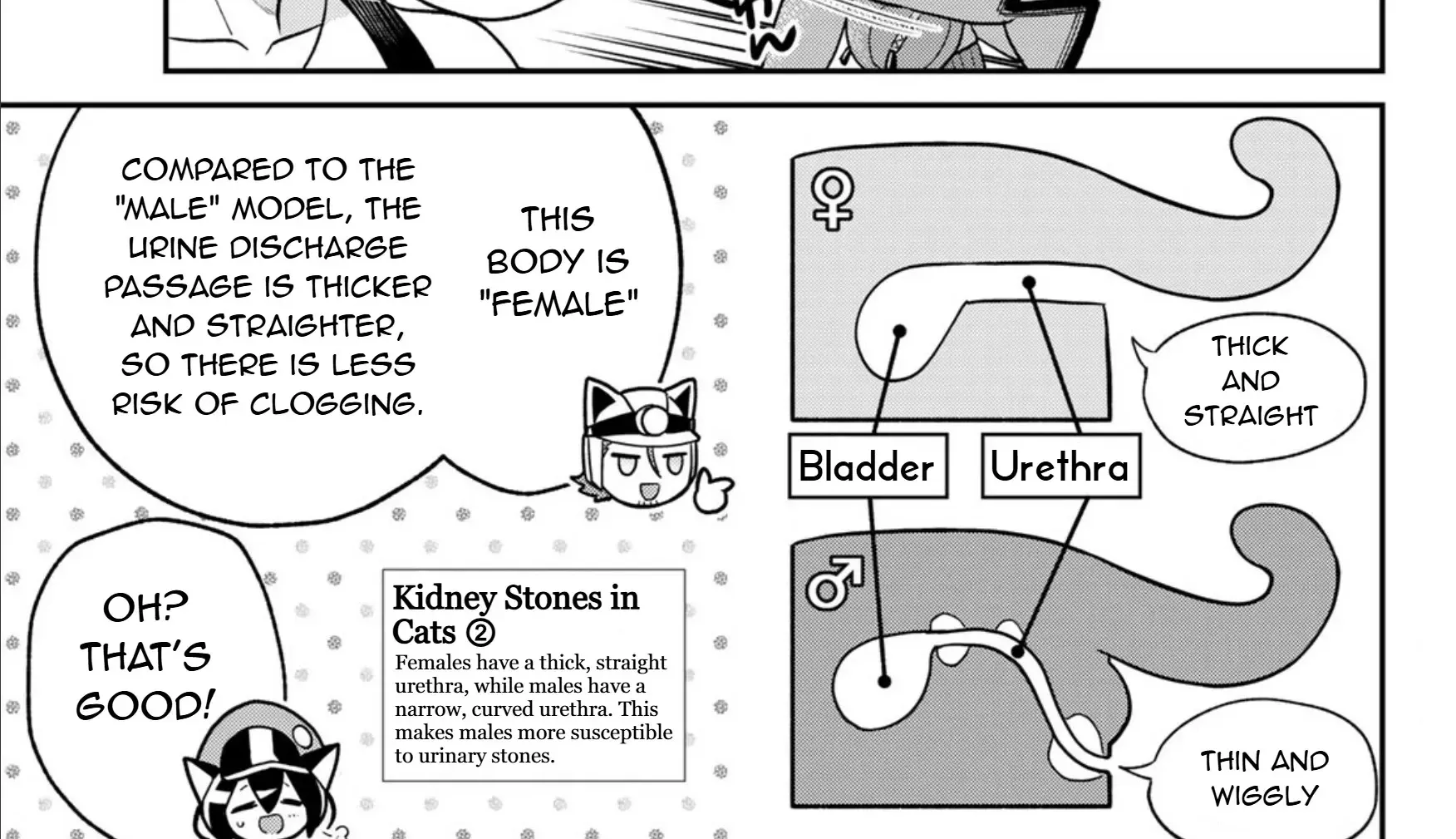 Cells at Work! Cat Chapter 12 page 14 - MangaKakalot