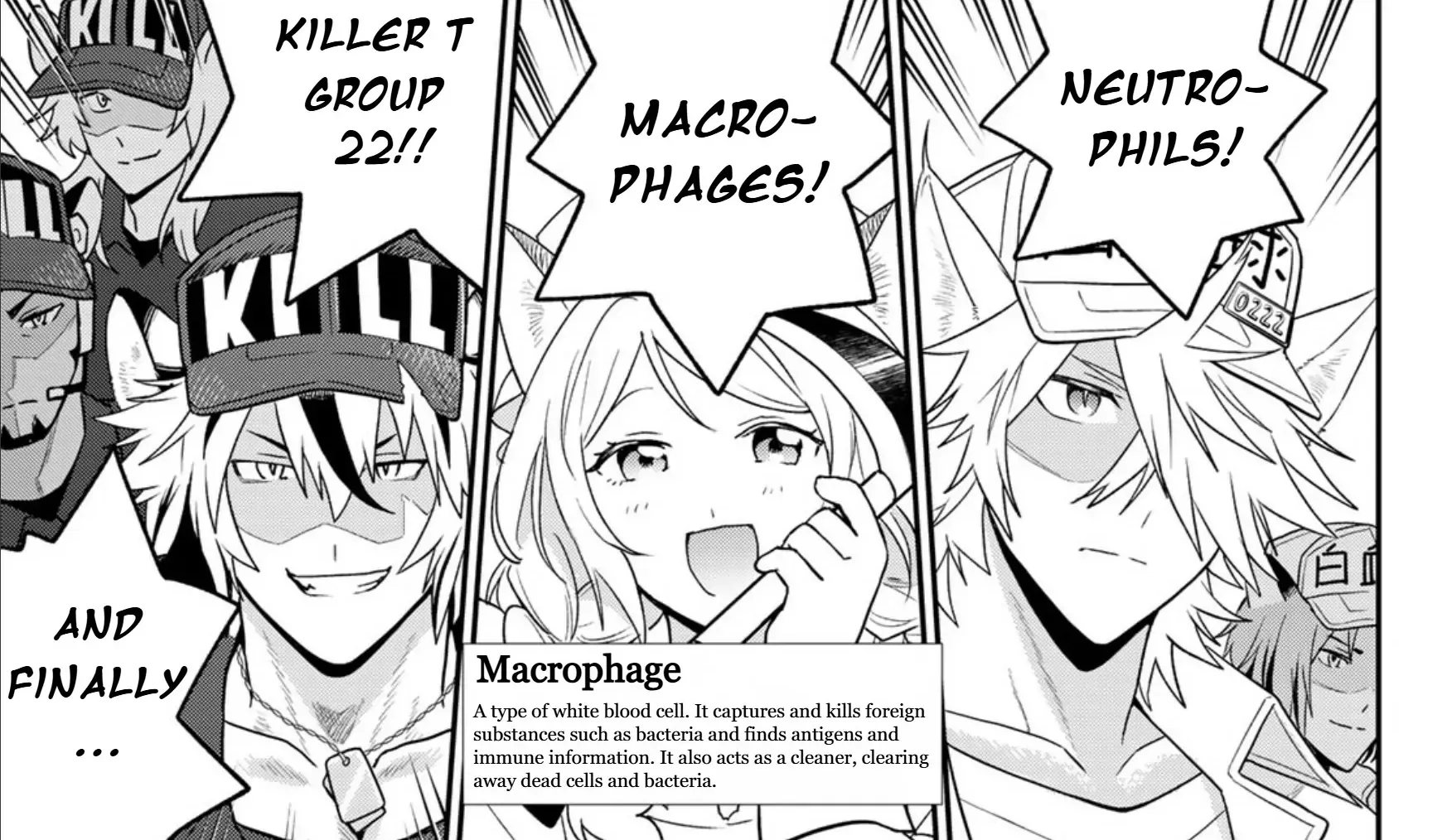 Cells at Work! Cat Chapter 13 page 23 - MangaKakalot