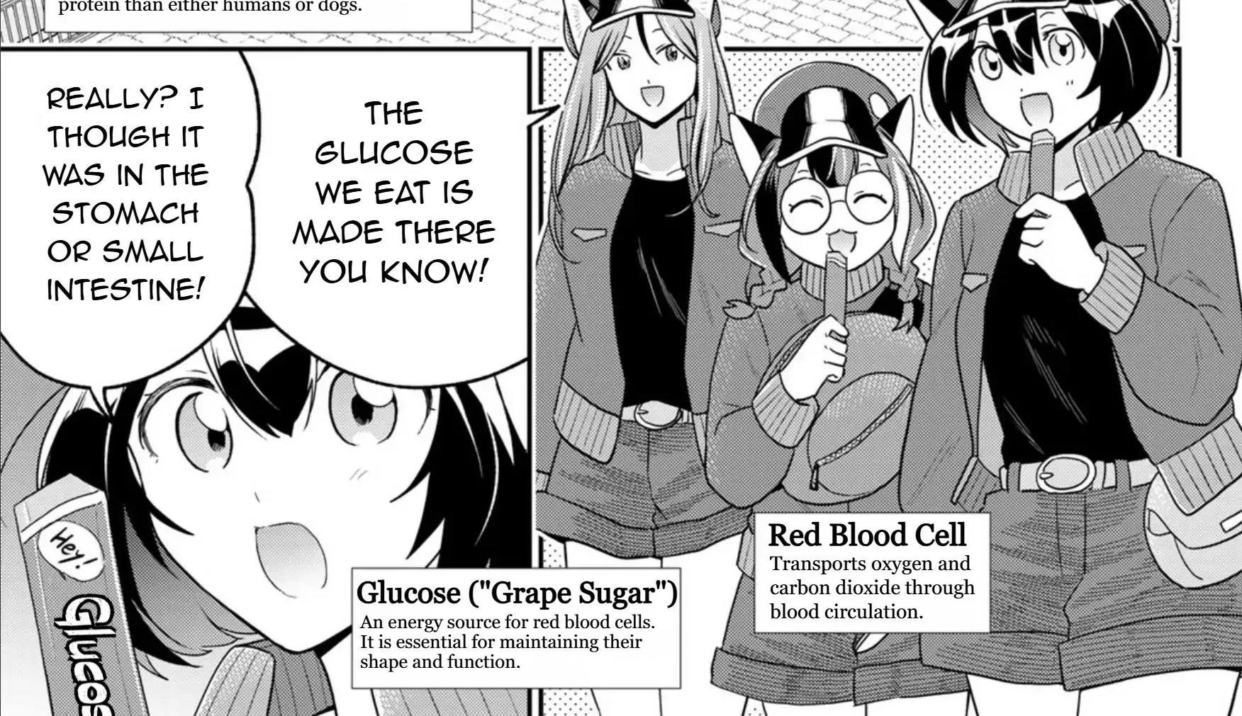 Cells at Work! Cat Chapter 16 page 35 - MangaKakalot