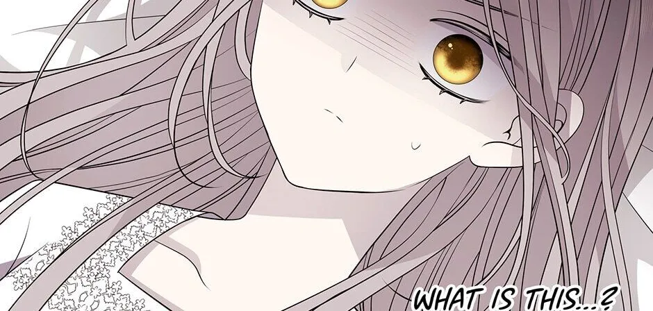 Charlotte Has Five Disciples Chapter 57 page 24 - MangaKakalot