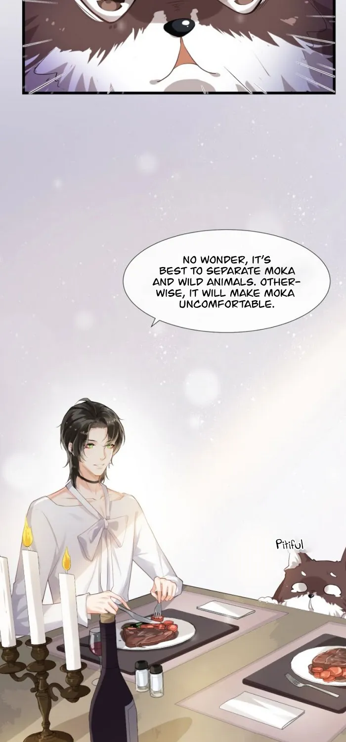 Chasing Game (Bi Ge Xiong) Chapter 3 page 31 - MangaKakalot