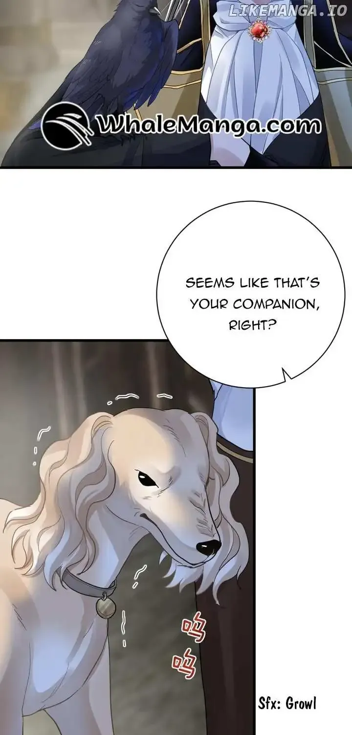 Confining Kiss Serenade Chapter 1 page 64 - MangaNelo