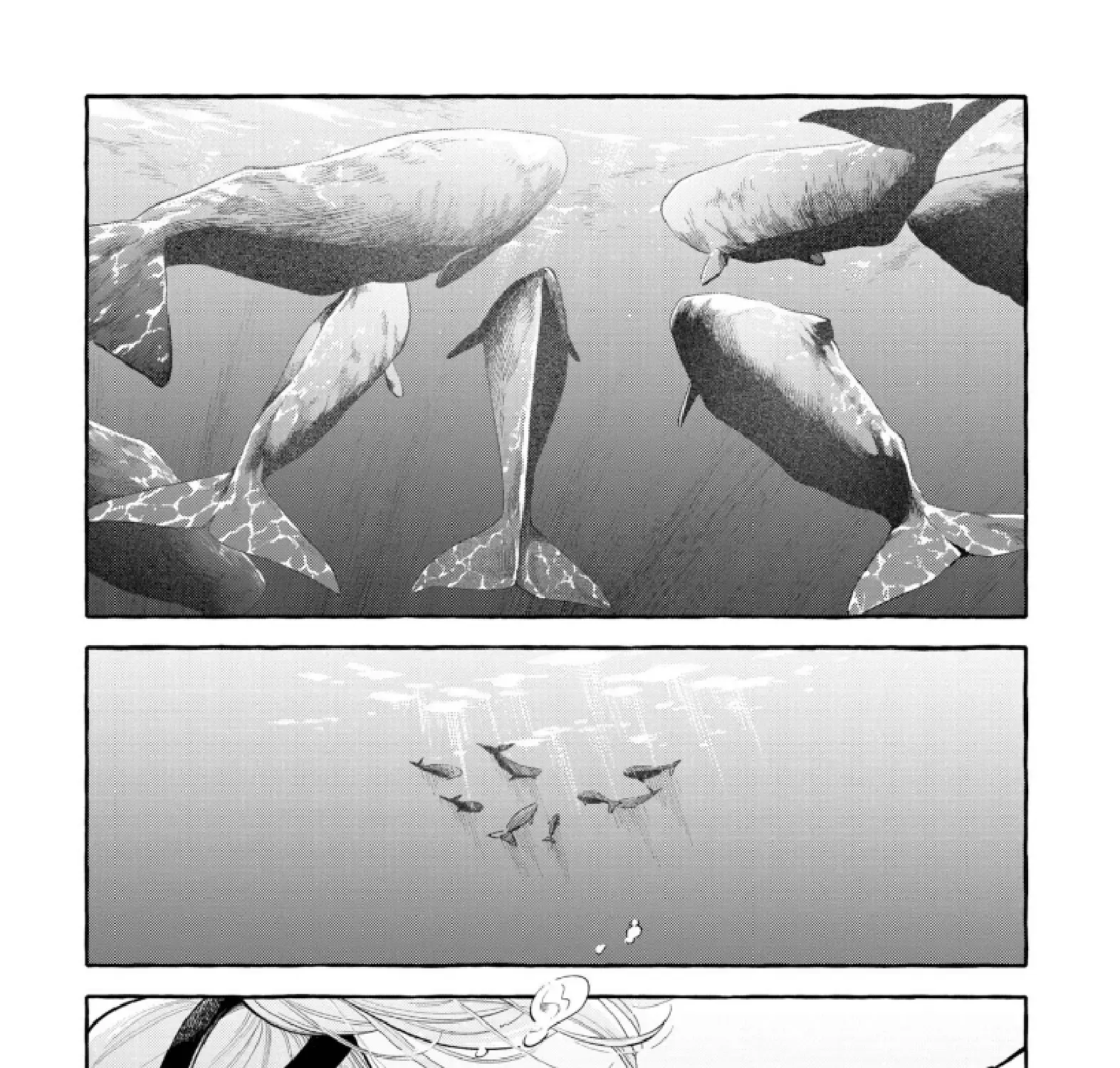 Deep Sea Aquarium Magmell Chapter 51 page 29 - MangaNato