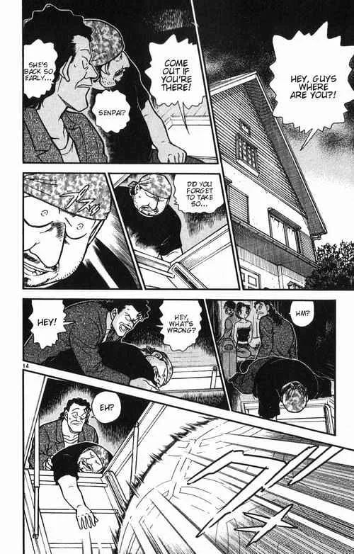 DETECTIVE CONAN - Page 13