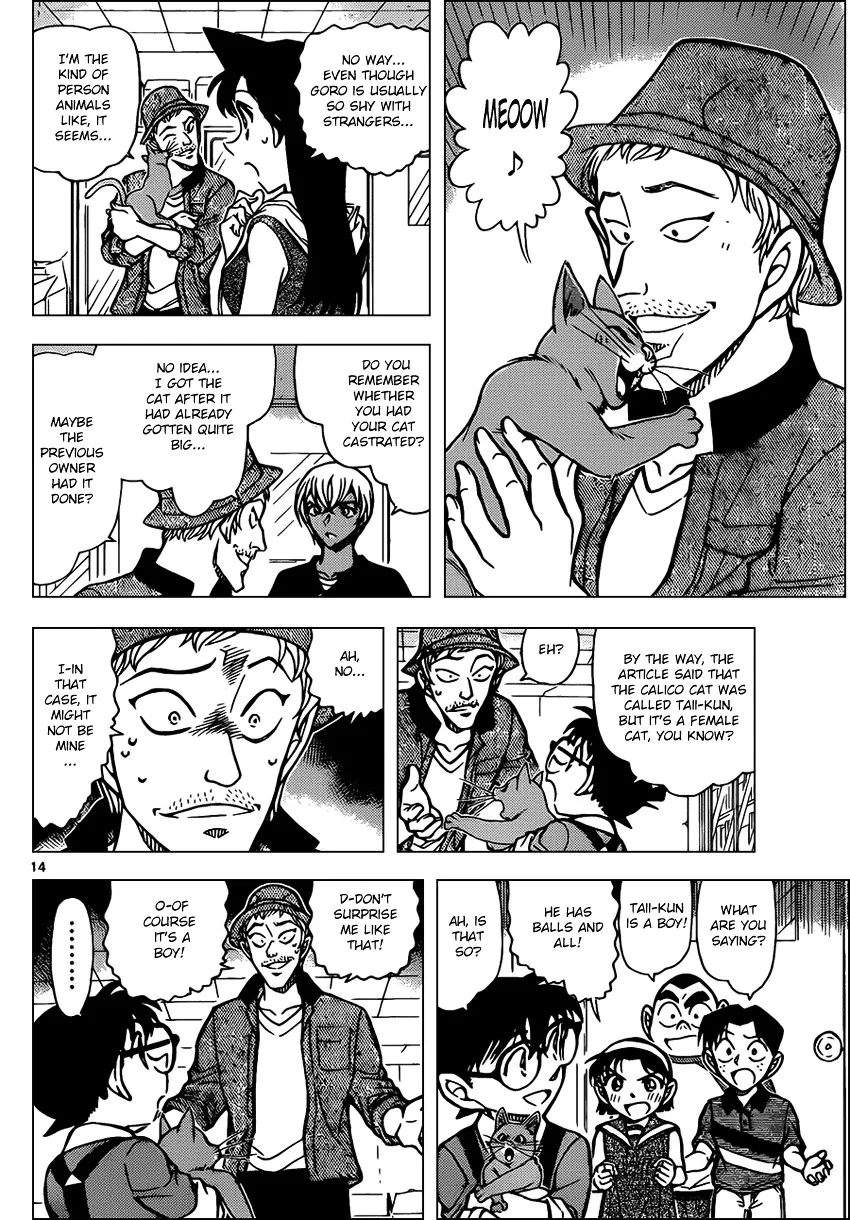 DETECTIVE CONAN - Page 13