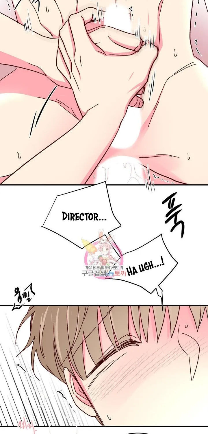 Director