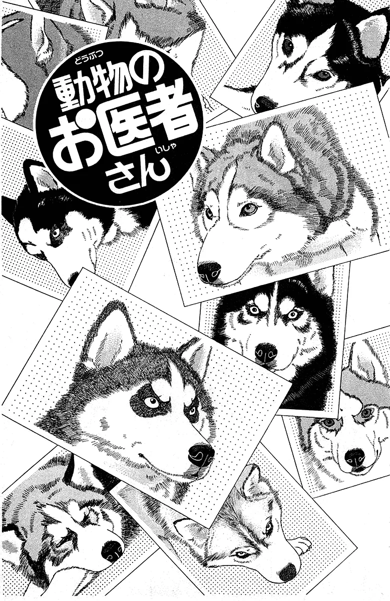 Doubutsu no Oishasan Chapter 84 page 3 - MangaKakalot