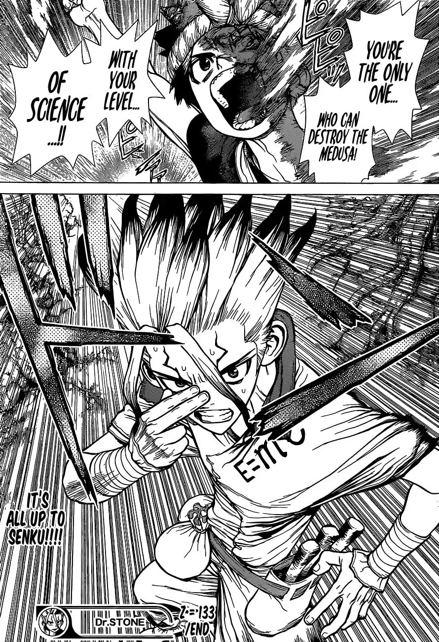 Dr. Stone - Page 17